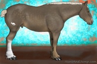 Horse Color:Chocolate Palomino 