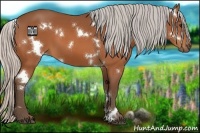 Horse Color:White Spotted Silver Bay 