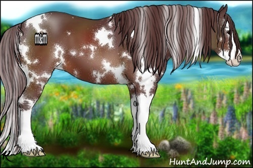 Horse Color:White Spotted Chocolate Brown Splash 