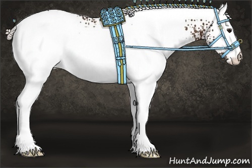 Horse Color:White Spotted Silver Brown 