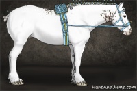 Horse Color:White Spotted Silver Brown