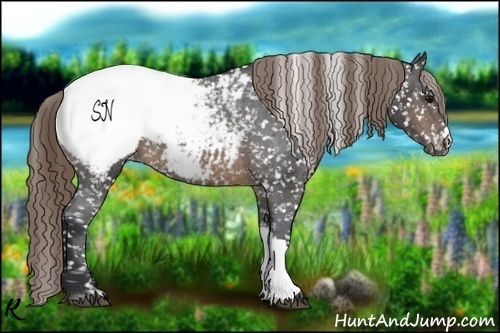 Horse Color:Buckskin Snowflake Varnish