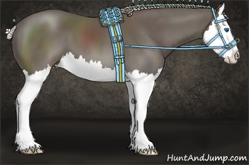 Horse Color:Silver Black Splash 