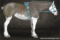 Horse Color:Silver Black Splash