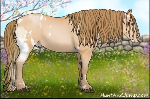 Horse Color:Bay Roan Pearl Splash  and White Spotted Bay Roan Pearl 