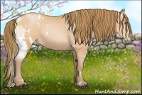 Horse Color:Bay Roan Pearl Splash  and White Spotted Bay Roan Pearl 