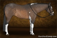 Horse Color:Buckskin Sabino Tobiano