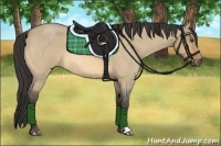 Horse Color:Buckskin Roan Dun 