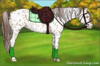 Horse Color:Amber Champagne Appaloosa and Amber Champagne Appaloosa