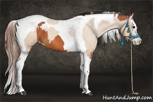 Horse Color:Bay Splash Tobiano Varnish  and Bay Dun Splash Tobiano Varnish 