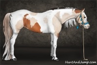 Horse Color:Bay Splash Tobiano Varnish and Bay Dun Splash Tobiano Varnish