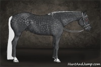 Horse Color:Silver Black Chinchilla 