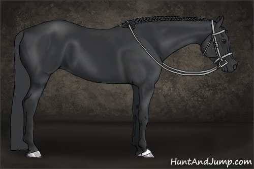 Horse Color:Black Chinchilla 