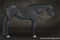 Horse Color:Black Chinchilla 