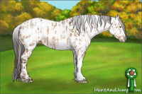 Horse Color:Sable Champagne Leopard and Gray Sable Champagne Leopard