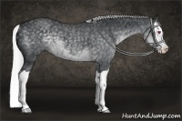 Horse Color:Silver Black Chinchilla Splash