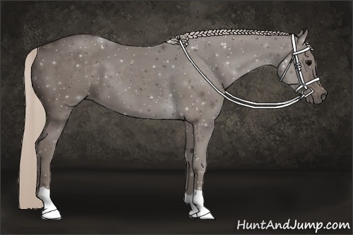 Horse Color:Silver Black 