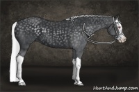 Horse Color:Silver Black Chinchilla Splash