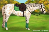 Horse Color:Amber Cream Champagne Near Leopard and Amber Cream Champagne Blanket