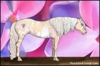 Horse Color:White Spotted Silver Amber Champagne Ice Dun