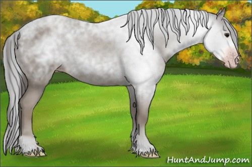 Horse Color:Gray Classic Champagne 