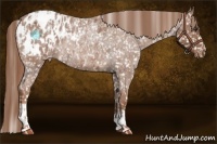 Horse Color:Red Roan Blanket Rabicano  and Red Roan Blanket Rabicano 