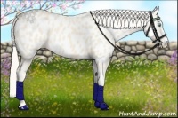 Horse Color:Cremello Near Leopard