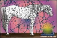 Horse Color:Black Appaloosa  and Black Appaloosa 