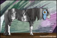 Horse Color:White Spotted Black Tobiano Appaloosa
