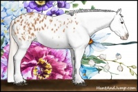Horse Color:Bay Snowflake Varnish  and Silver Bay Snowflake Varnish 