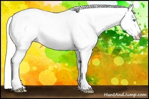 Horse Color:Cremello Near Leopard