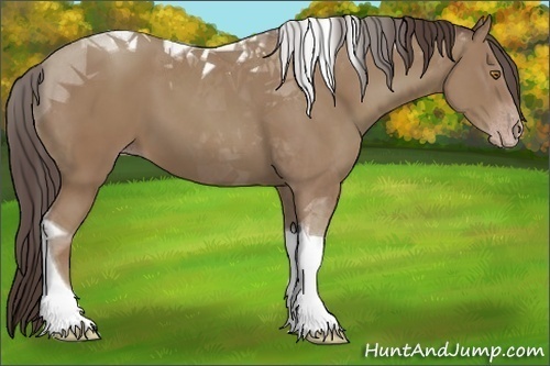 Horse Color:Classic Champagne Tobiano