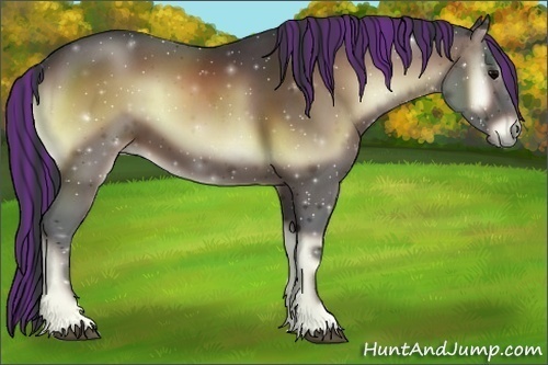 Horse Color:Painted Bay Onyx
