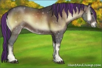 Horse Color:Painted Bay Onyx 