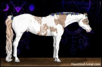 Horse Color:Black Pearl Snowflake Varnish  and Bay Pearl Snowflake Varnish Rabicano 
