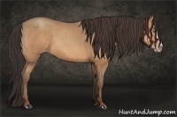 Horse Color:Amber Champagne 