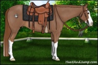 Horse Color:Red Roan Splash 