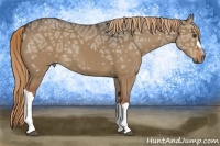 Horse Color:Liver Red Dun Ice 