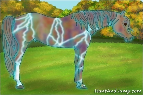 Horse Color:Nacre Thunderstruck Chestnut