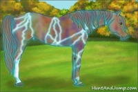Horse Color:Nacre Thunderstruck Chestnut