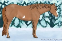 Horse Color:Chestnut Splash Frame