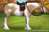 Horse Color:Silver Bay Dun Sabino Tobiano Frame Rabicano 