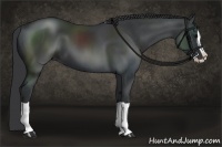 Horse Color:Black Splash 