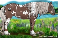 Horse Color:White Spotted Chocolate Silver Black