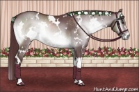 Horse Color:White Spotted Chocolate Brown Chinchilla Onyx