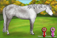 Horse Color:Gray Black 