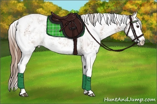 Horse Color:Chestnut Sabino Splash 