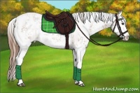 Horse Color:Chestnut Sabino Splash