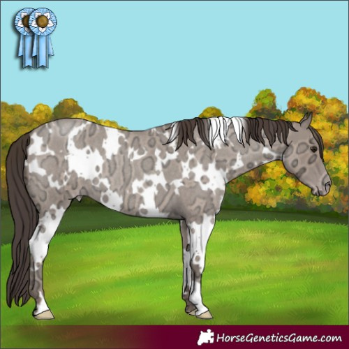 Horse Color:White Spotted Classic Champagne Ice Roan