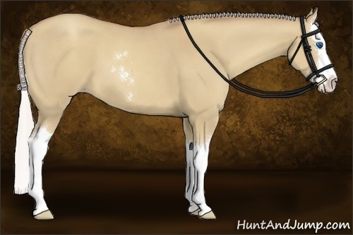 Horse Color:Silver Classic Champagne Dun Sabino Splash 